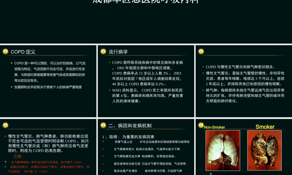 慢性阻塞性肺病(吴奎).ppt
