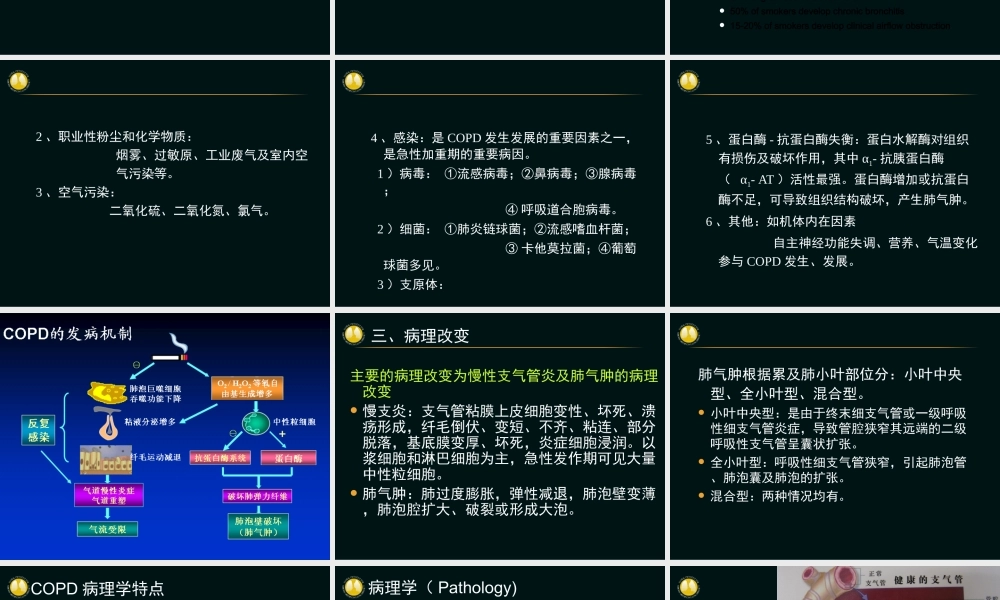 慢性阻塞性肺病(吴奎).ppt