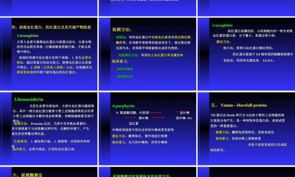 尿液蛋白质检查简介.ppt