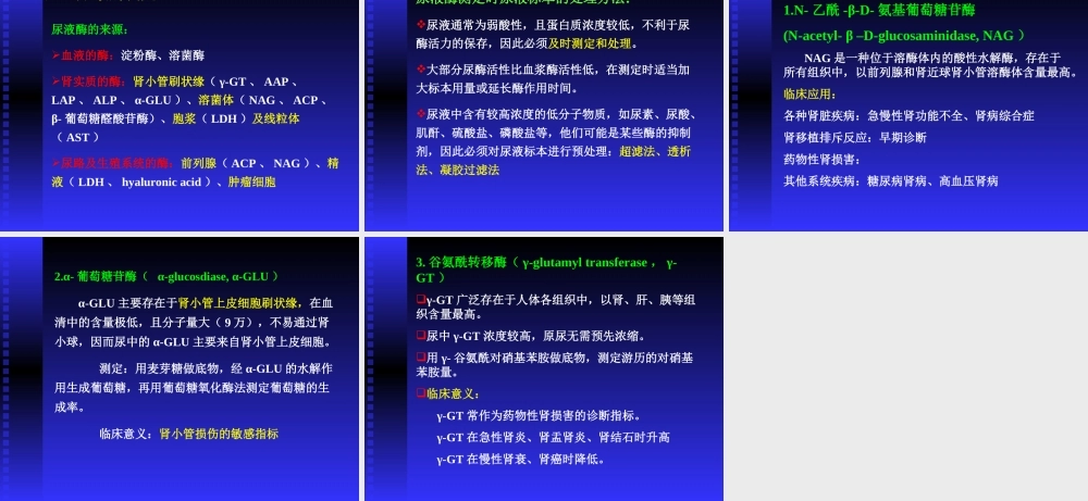 尿液蛋白质检查简介.ppt