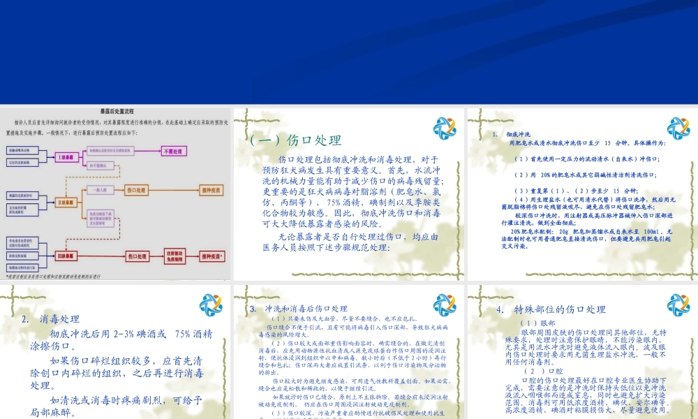 抗狂犬病血清操作要点.ppt