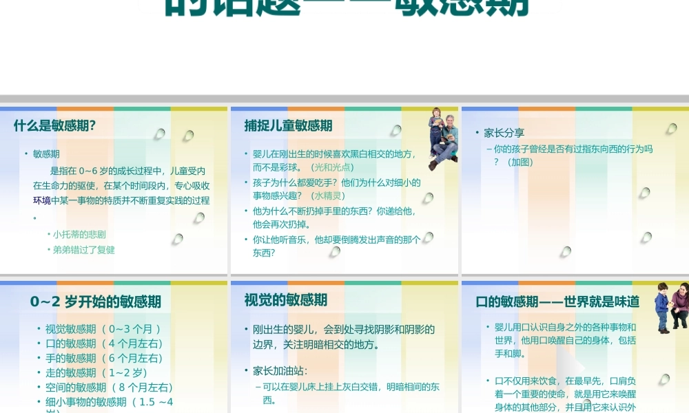捕捉儿童敏感期2018.ppt