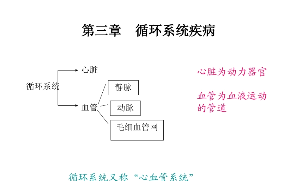 循环系统-心脏.ppt