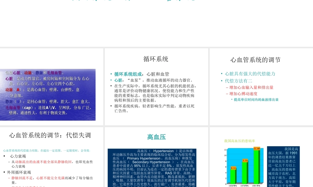 循环系统-心脏.ppt