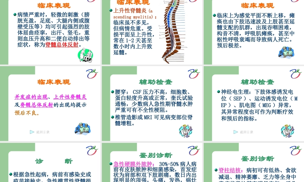 急性脊髓炎.ppt