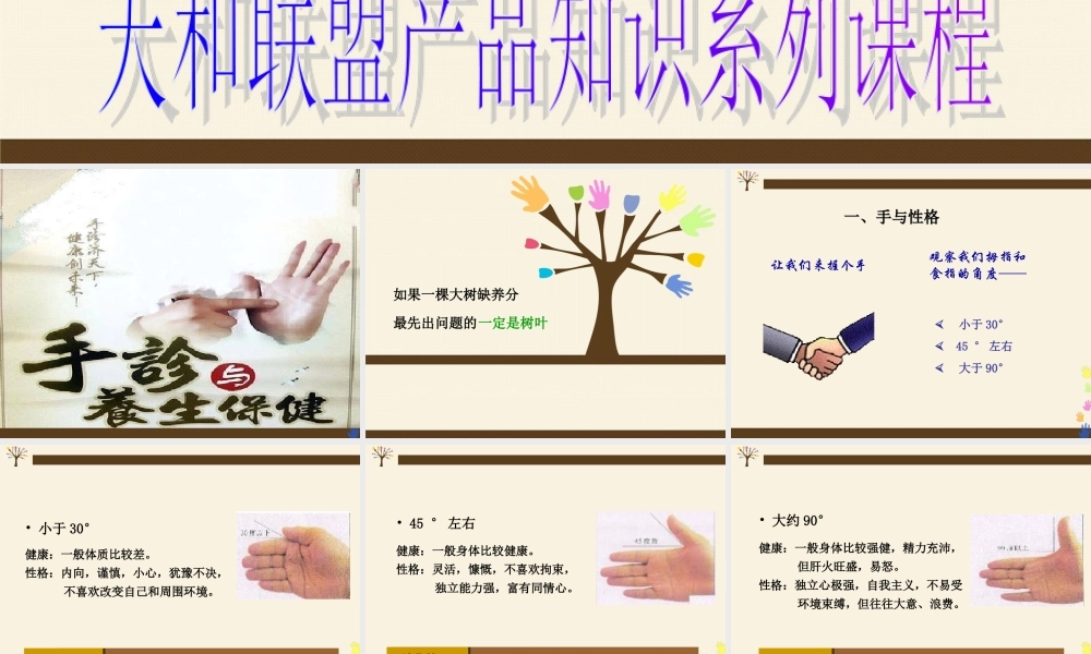 手诊-PPT(精).ppt