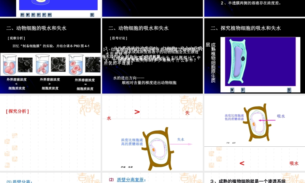 探究细胞的吸水和失水.ppt