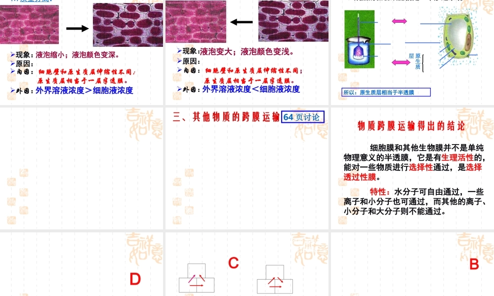 探究细胞的吸水和失水.ppt