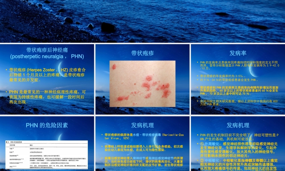 带状疱疹后神经痛诊疗中国专家共识.ppt
