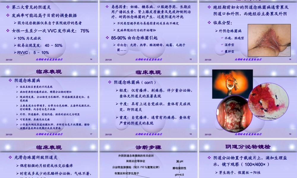 念珠菌性阴道炎的诊治---极经典.ppt
