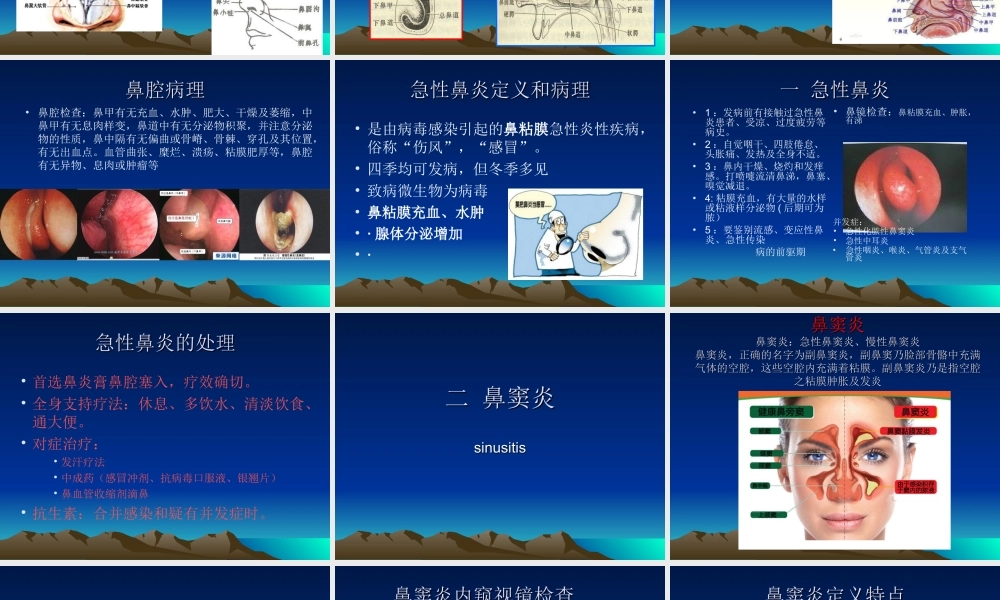 急性鼻炎急性鼻窦炎.ppt