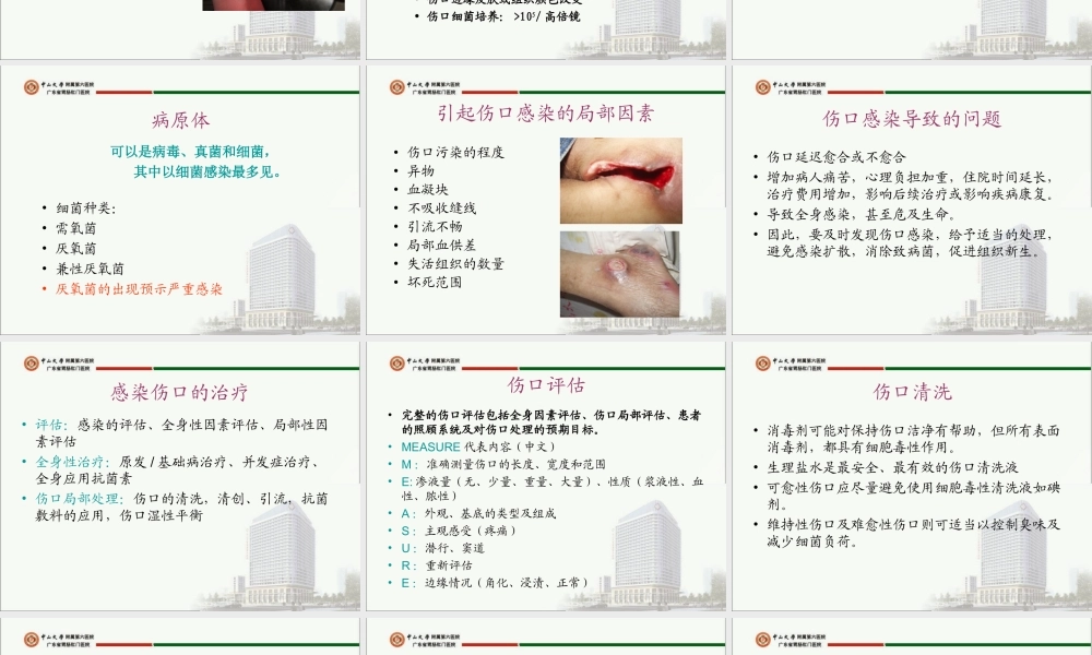感染创面的处理及个案分析.ppt.ppt