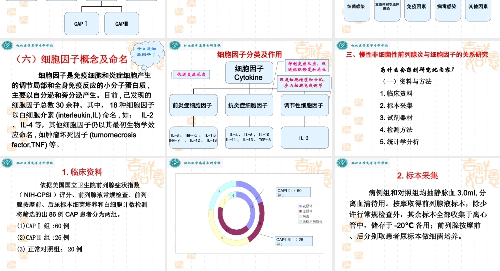 慢性前列腺炎与细胞因子的关系研究.ppt