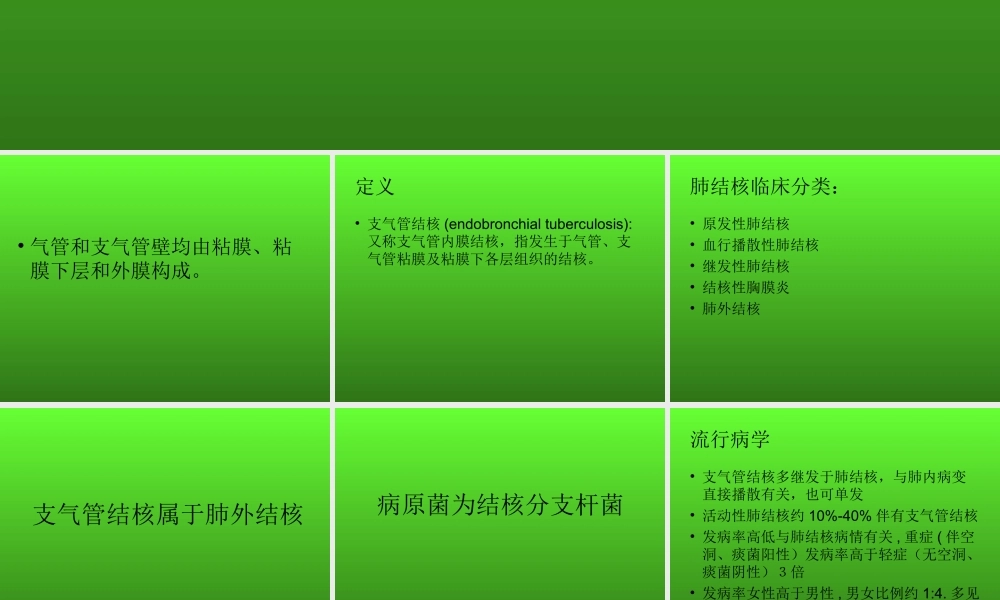 支气管结核.ppt