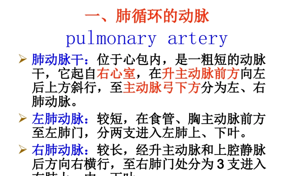 月脉管动脉定稿.ppt