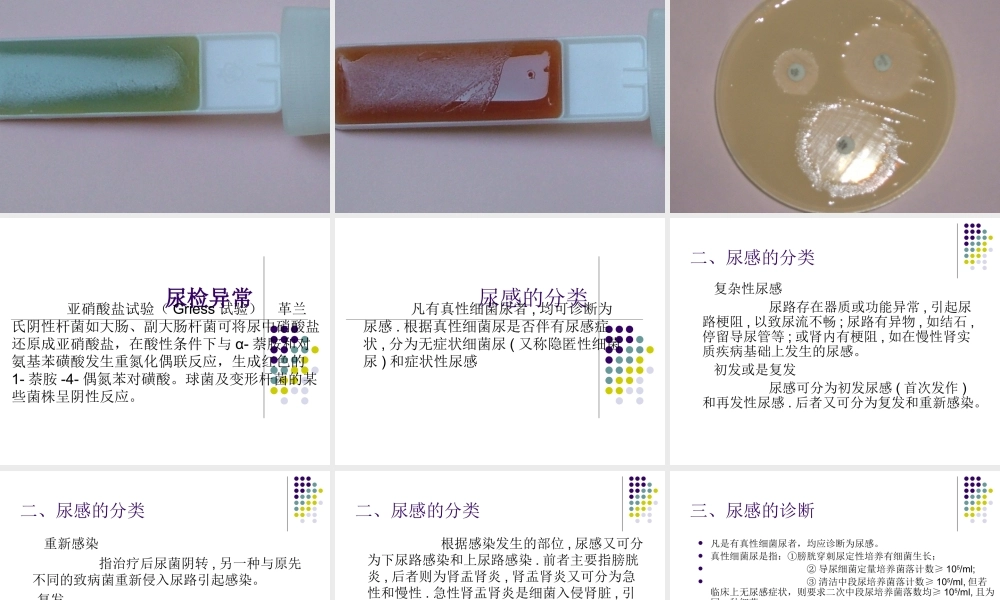 尿路感染的诊治与健康宣教.ppt