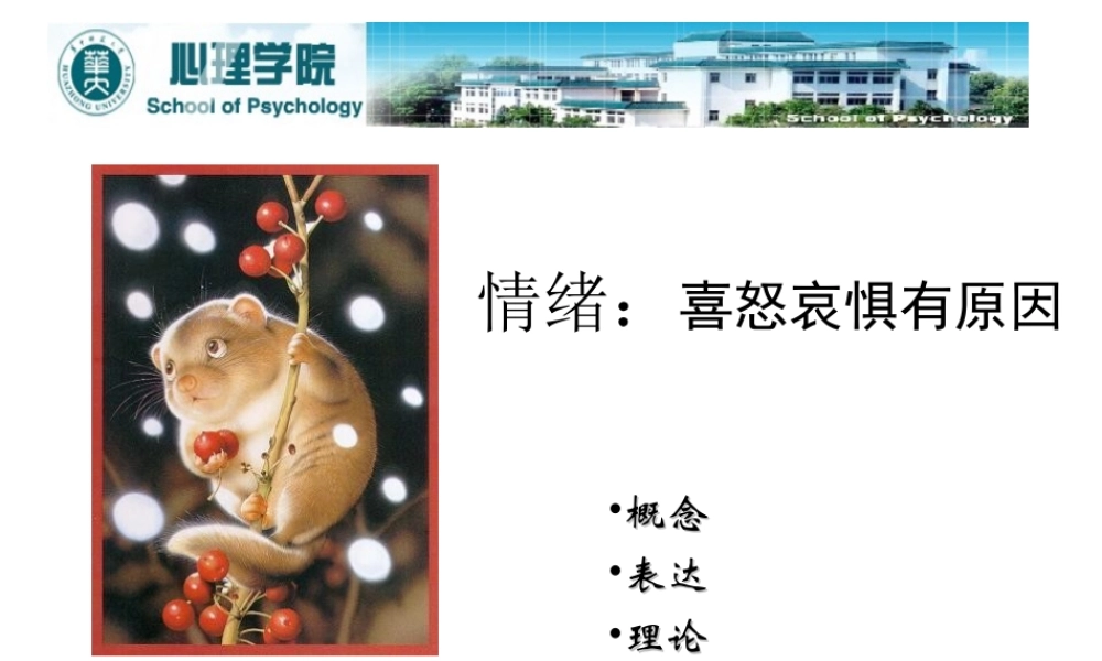 情绪压力与适应.ppt