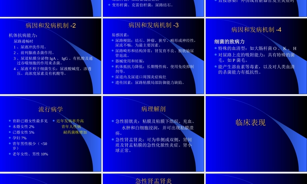 尿路感染的诊治进展.ppt