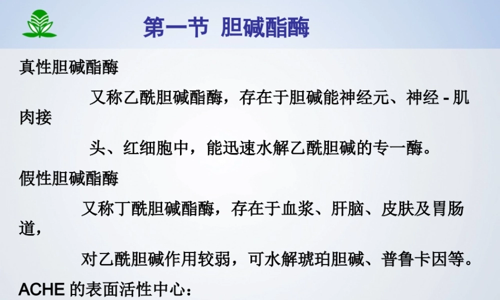 抗胆碱酯酶药.ppt