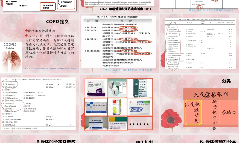 支气管扩张药+-+副本2.ppt