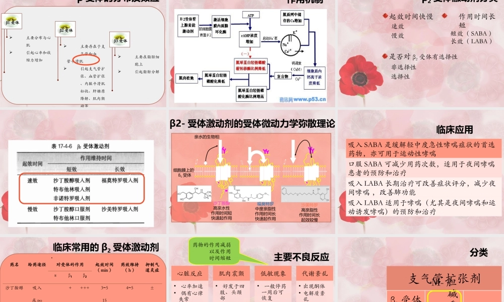 支气管扩张药+-+副本2.ppt