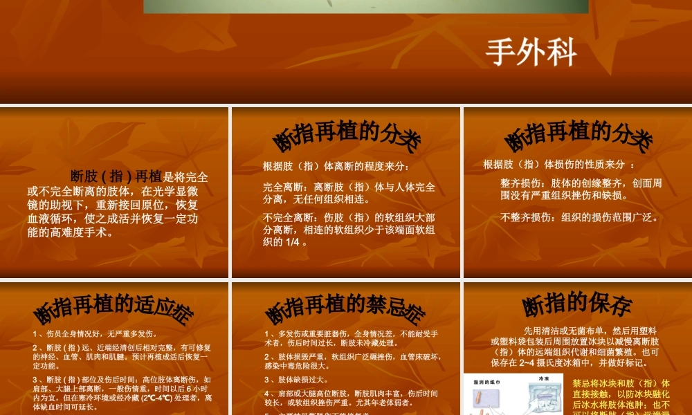 教学查房断肢再植..ppt