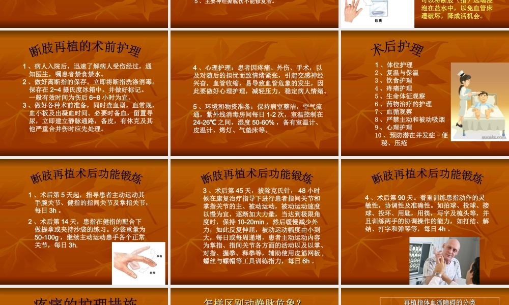 教学查房断肢再植..ppt