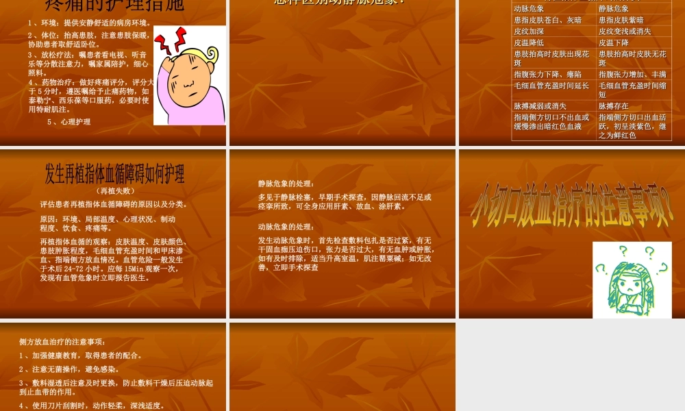 教学查房断肢再植..ppt