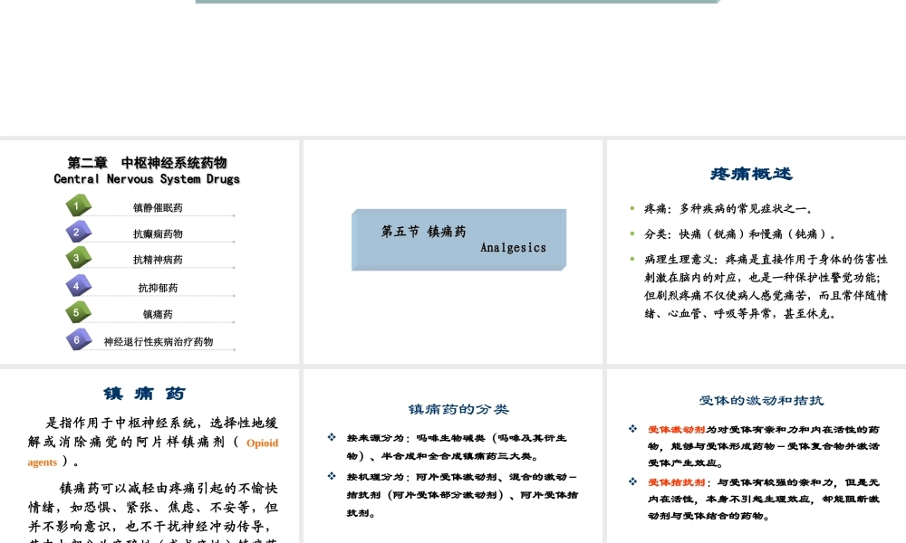 本科业余药化02.ppt