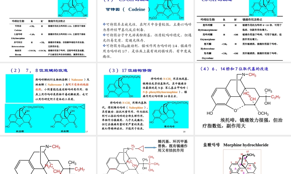 本科业余药化02.ppt