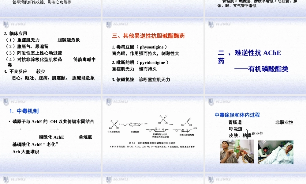 易逆性抗胆碱酯酶药药理作用1眼.ppt