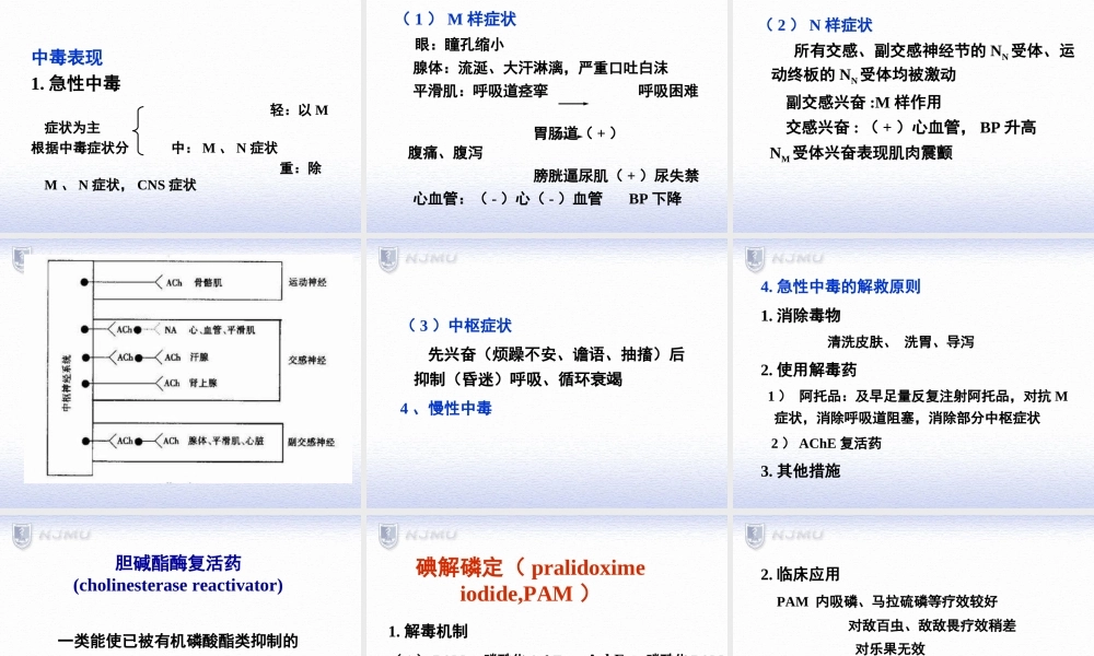 易逆性抗胆碱酯酶药药理作用1眼.ppt