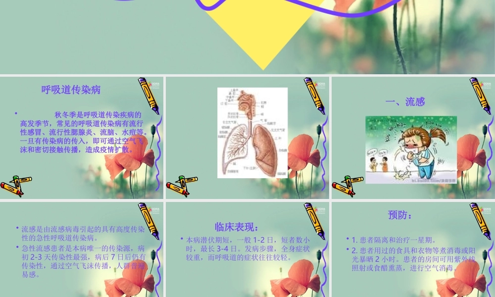 常见的呼吸道传染病有流行性感冒流行性腮腺炎流脑.ppt