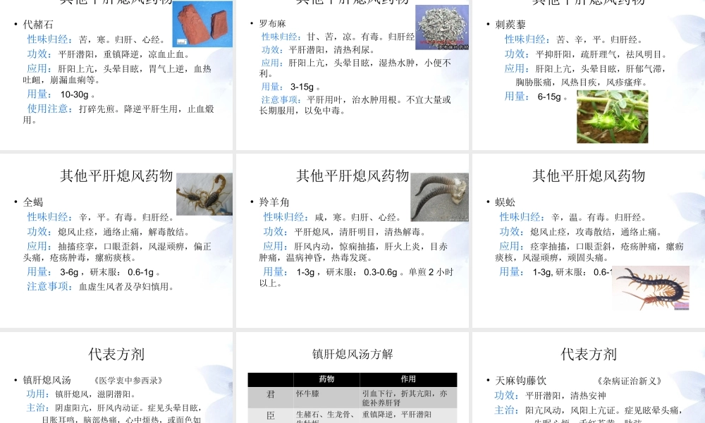 平肝熄风药与方剂.ppt