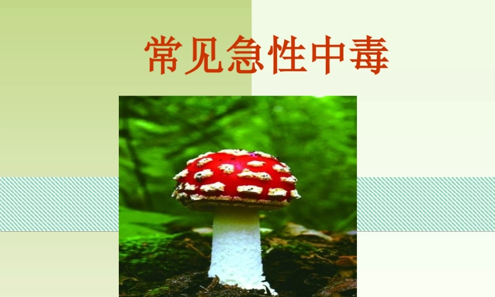 常见急性中毒--王红-2013.11.05概述.ppt