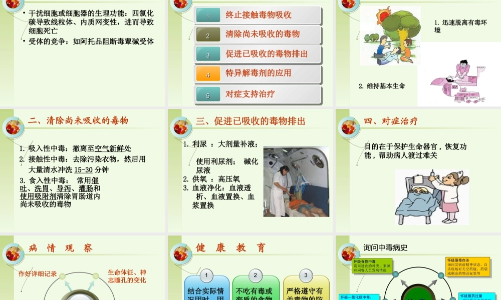 常见急性中毒--王红-2013.11.05概述.ppt