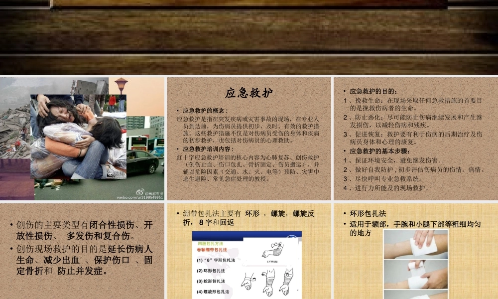 应急救护(10.18).ppt