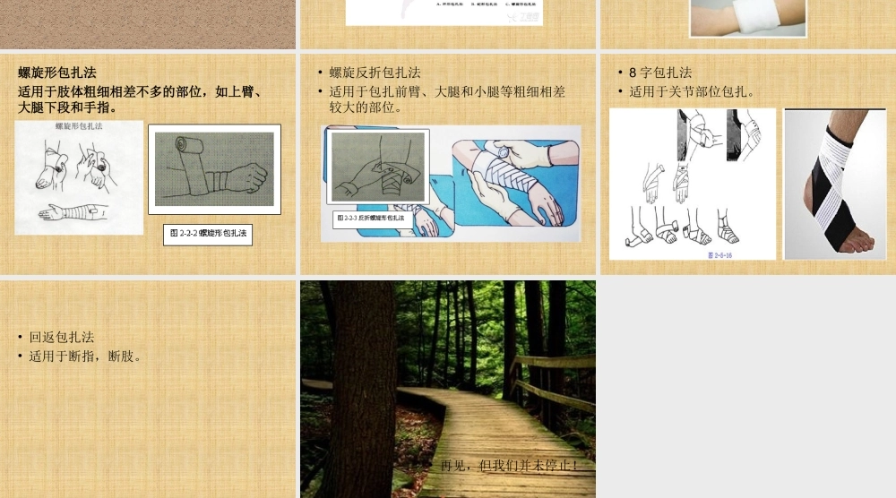 应急救护(10.18).ppt