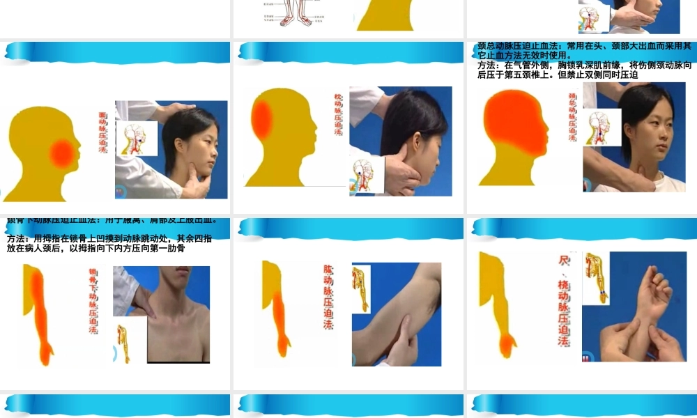 开放性伤口的止血..ppt