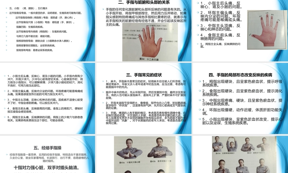 手诊第三节手指观健康.ppt