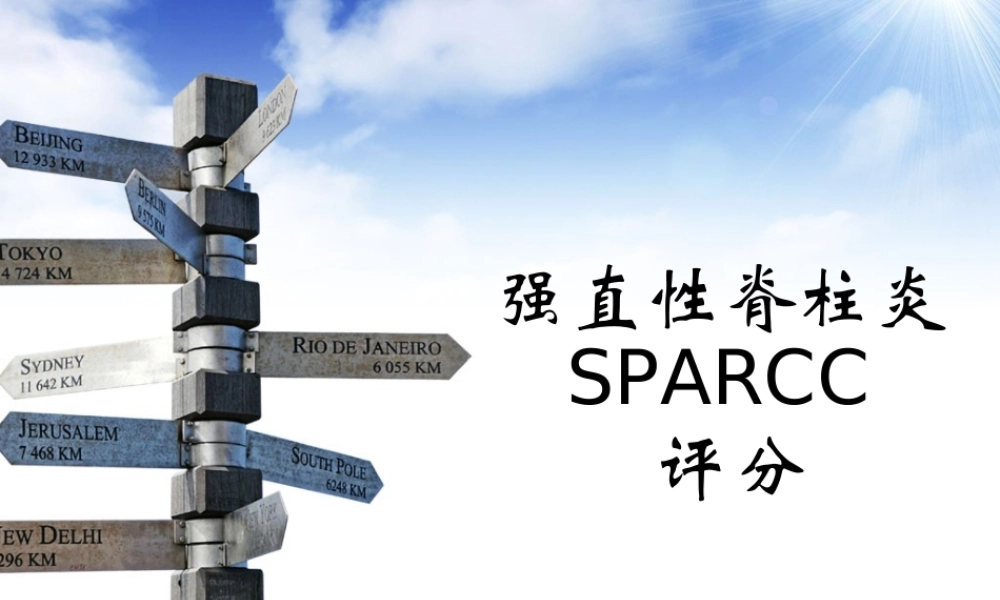 强直性脊柱炎MRI评分.ppt