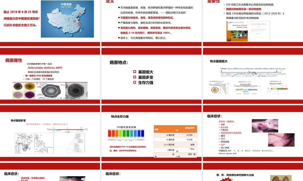 如何降低非洲猪瘟感染风险.pptx