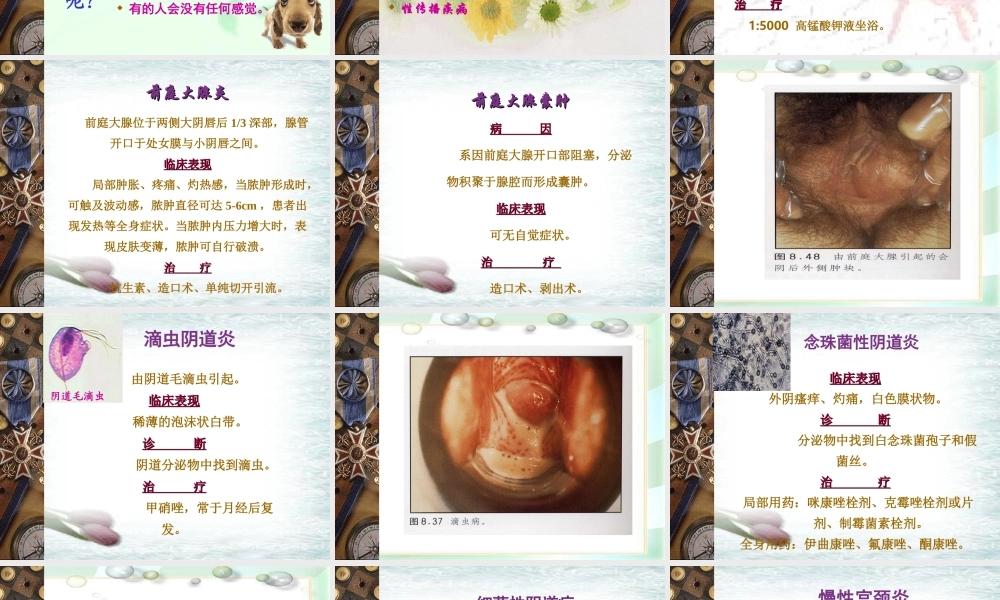 妇科感染的防治剖析.ppt