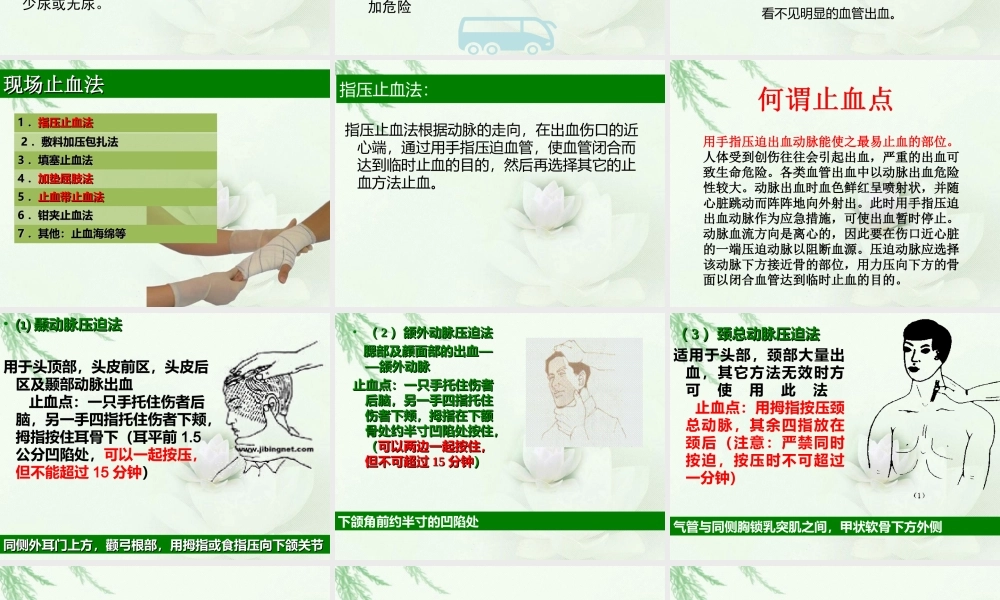 急救四项之止血和包扎.ppt