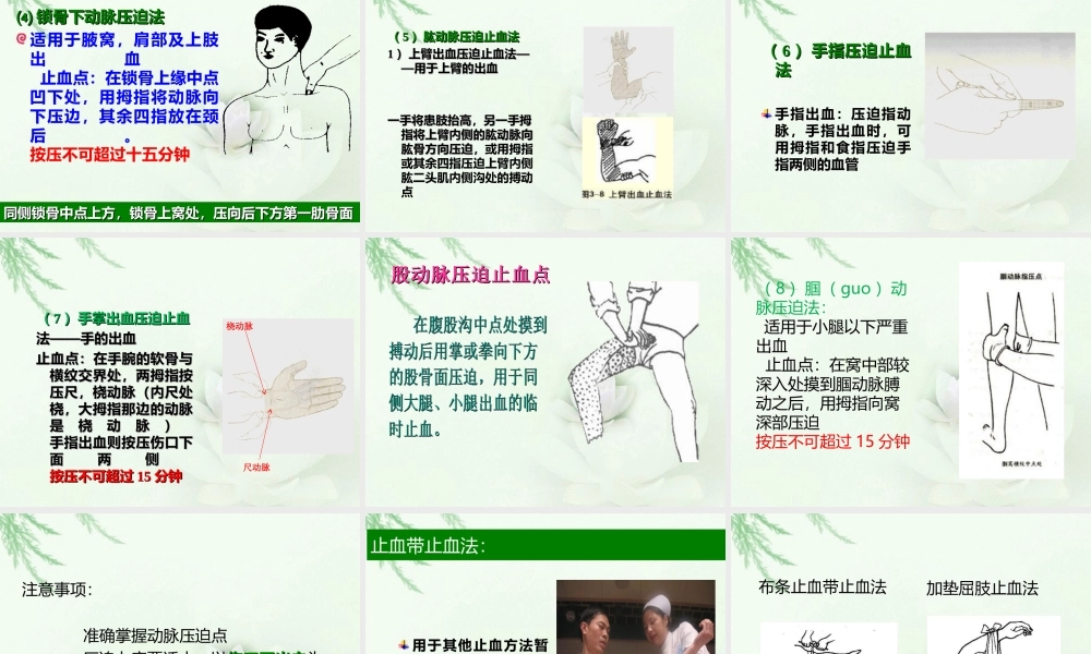 急救四项之止血和包扎.ppt