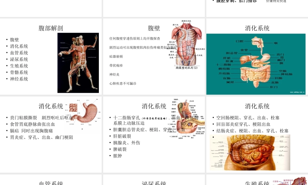 急腹痛和腹部战创伤救治.ppt