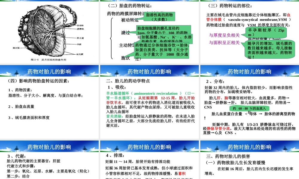 妊娠期和哺乳期用药.ppt