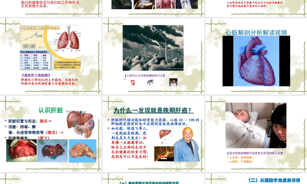 慢性病治理的核心法则.ppt