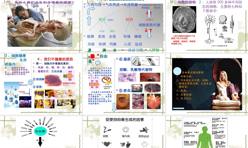 慢性病治理的核心法则.ppt