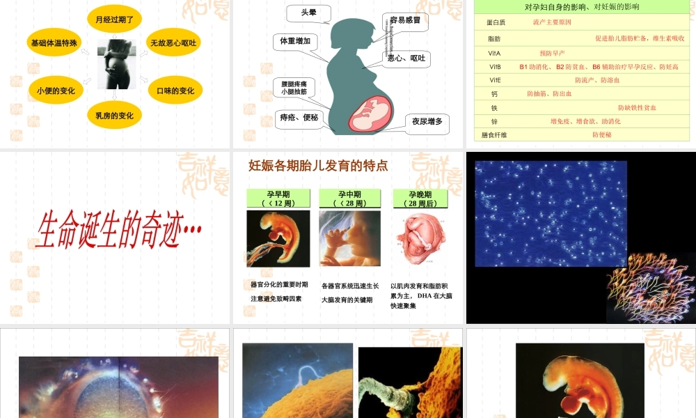 如何生一个健康的宝宝...ppt.ppt